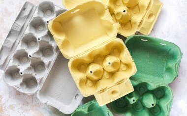 Imagem de destaque para Se você tem caixas de ovos vazias, você tem um tesouro: veja 5 maneiras de reutilizá-las 