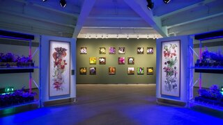 Exposição: 14 exposições imperdíveis em São Paulo em julho de 2022