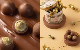 Lata Bombom Pistacchio da Bacio di Latte