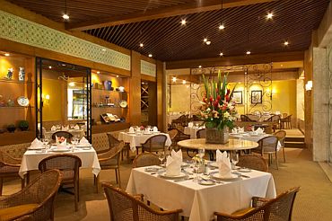 Imagem de destaque para Verbena - Hotel Transamérica
