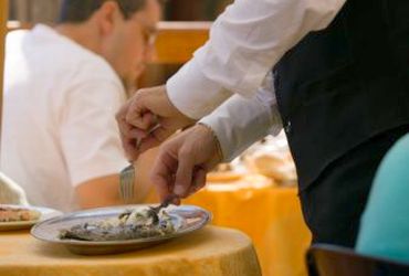 Imagem de destaque para Sul Nativa