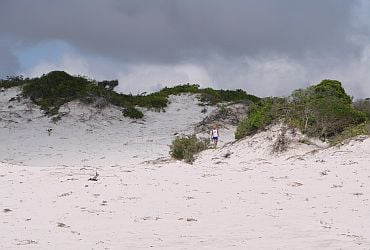 Imagem de destaque para Parque das Dunas