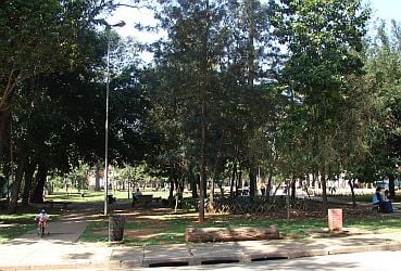 Imagem de destaque para Parque Severo Gomes